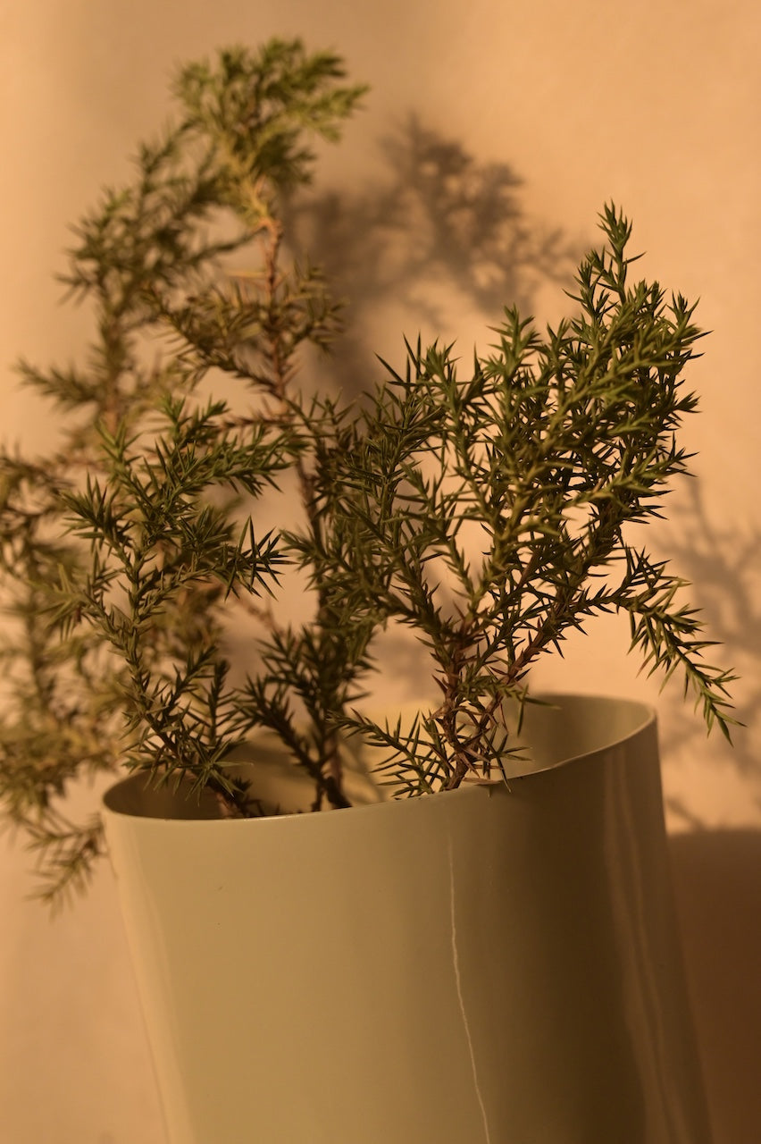 Amara Vase by Nara Livin