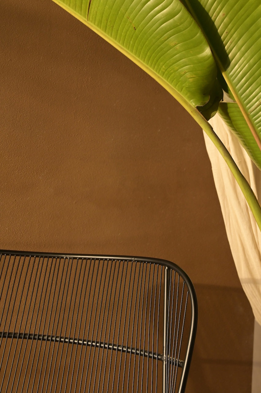 Elara Lounger by Nara Livin