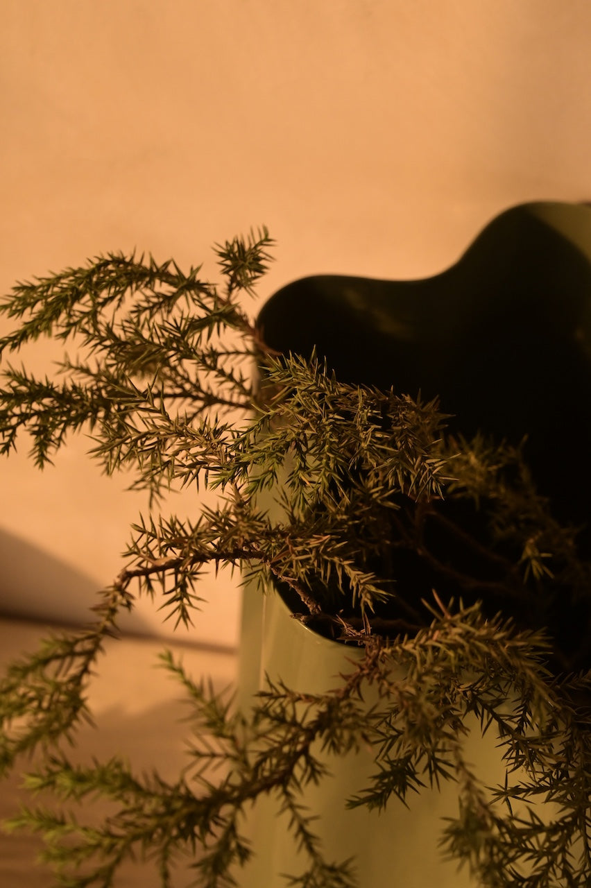 Ether Vase by Nara Livin