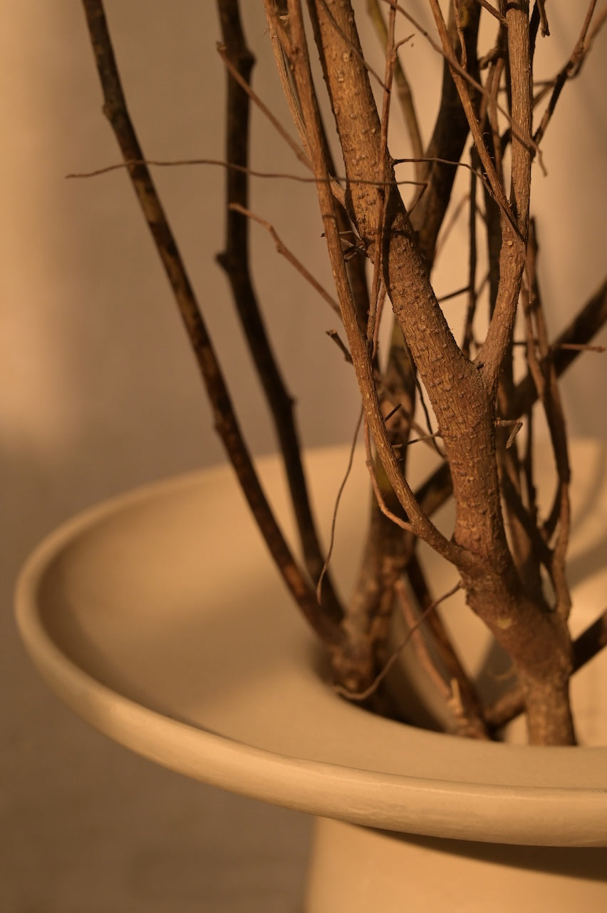 Lume Vase by Nara Livin