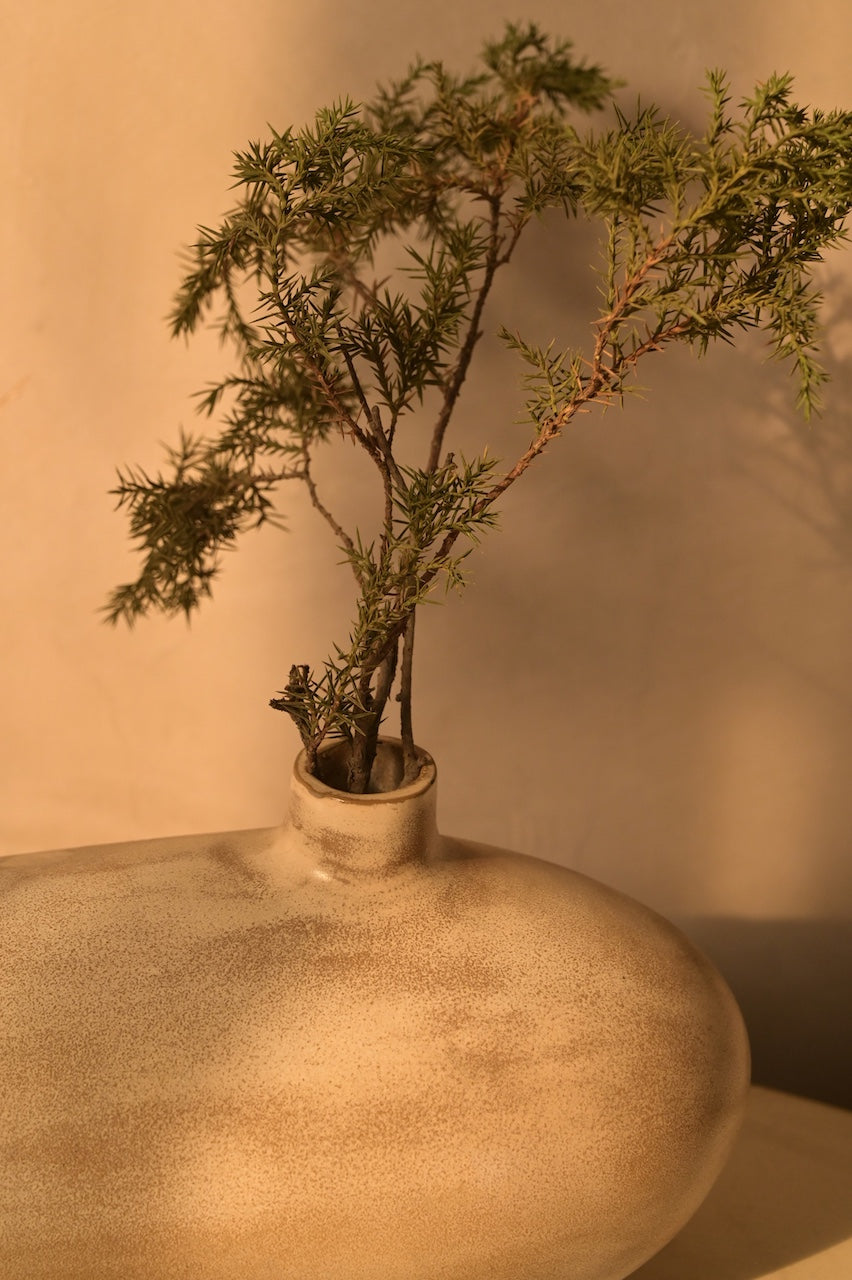 Oslo Curve (set) by Nara Livin
