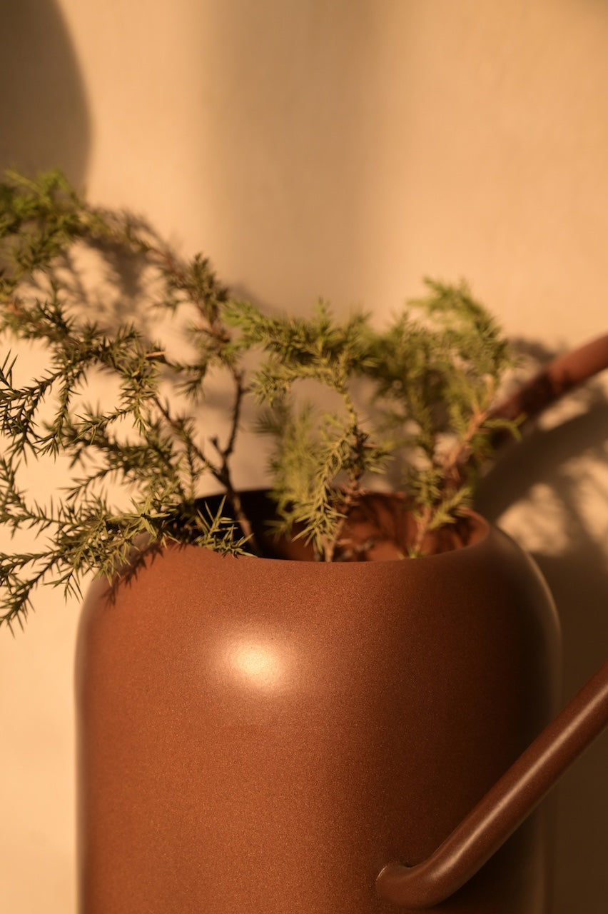 Sable Vase by Nara Livin