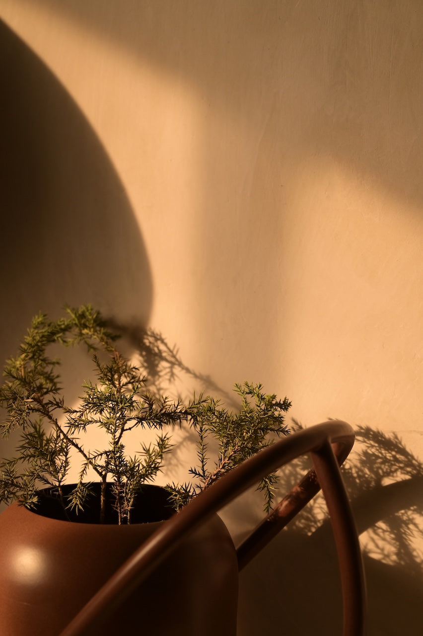 Sable Vase by Nara Livin